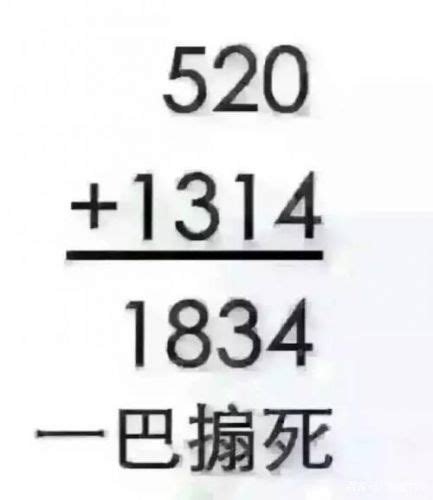 1314是什么意思